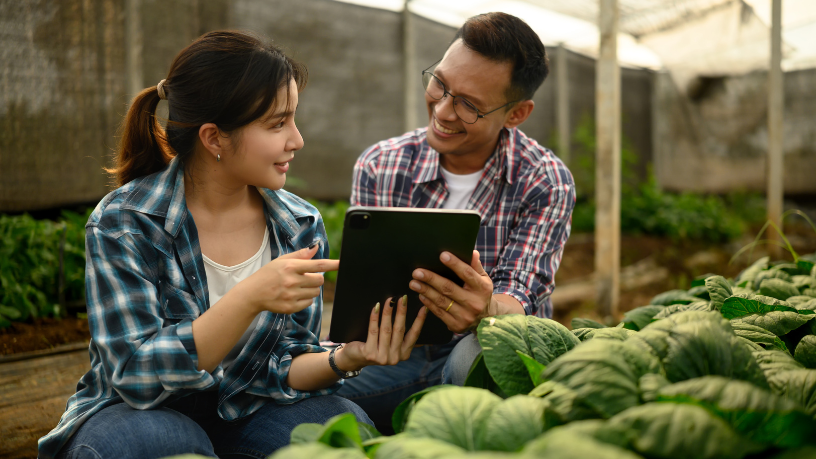 Entenda com João Eustáquio De Almeida Junior como o planejamento na atividade agrícola pode minimizar incertezas e potencializar a produtividade.