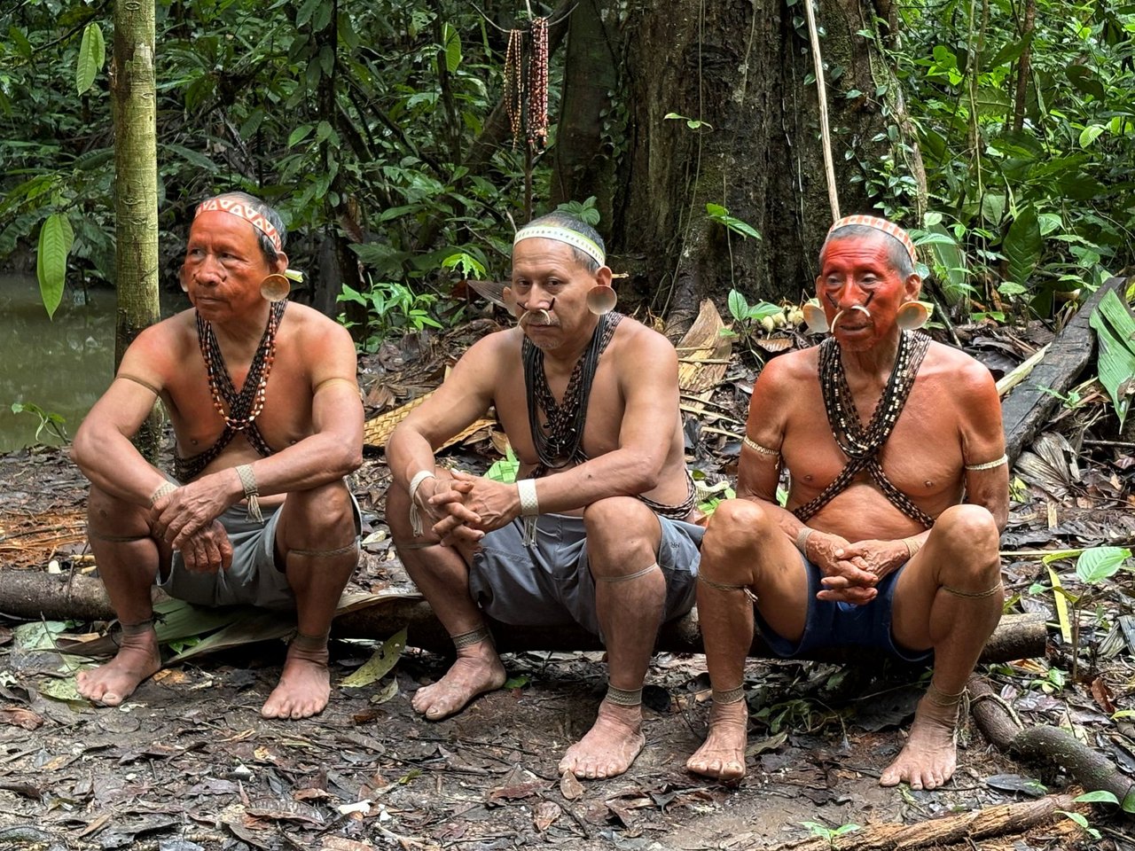 Três anciãos indígenas sentados na floresta amazônica, usando trajes e adornos tradicionais.